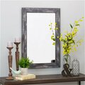 Deluxdesigns Morris Wall Mirror, Gray - 36 x 24in. DE2522556